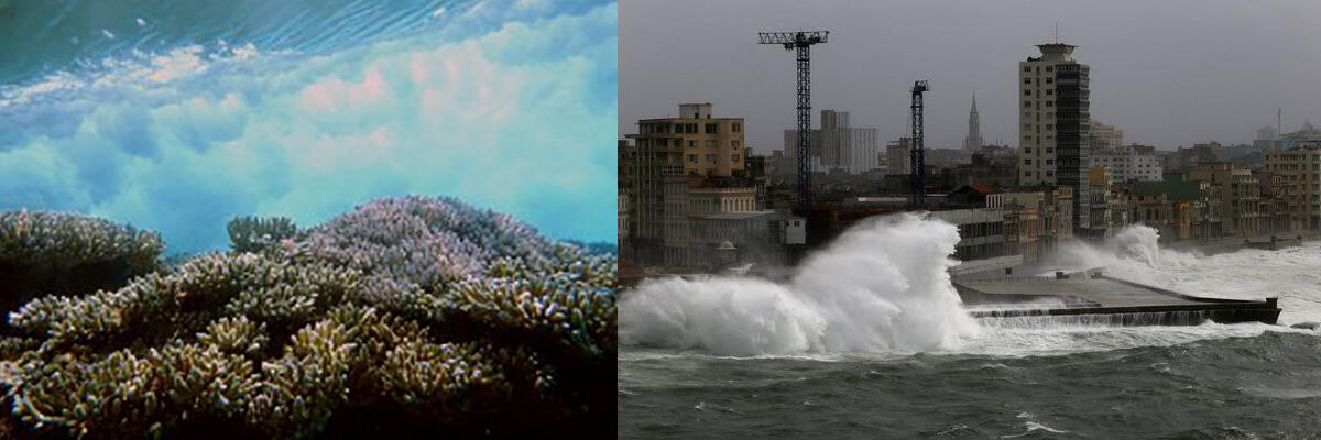 coast reef coasts