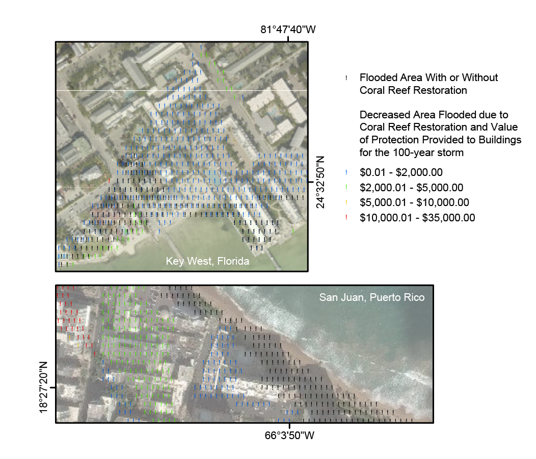 coastal flooding from coral reef damage