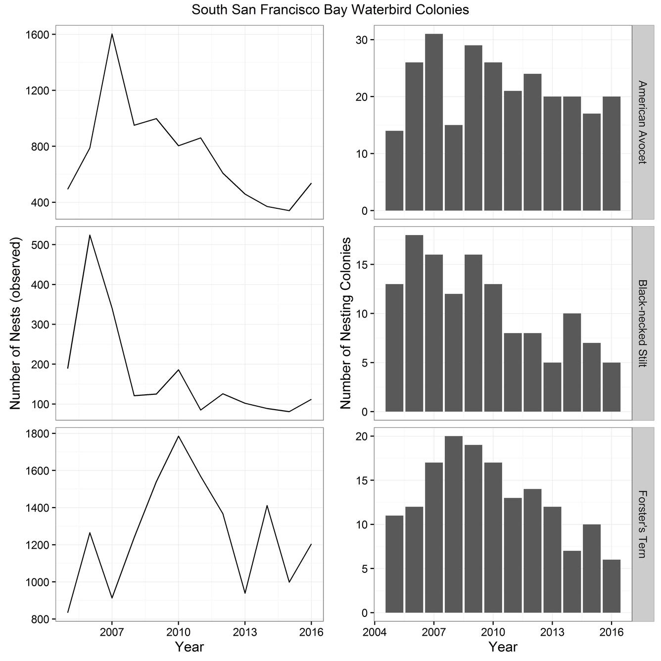 WERC Colony nest count figure