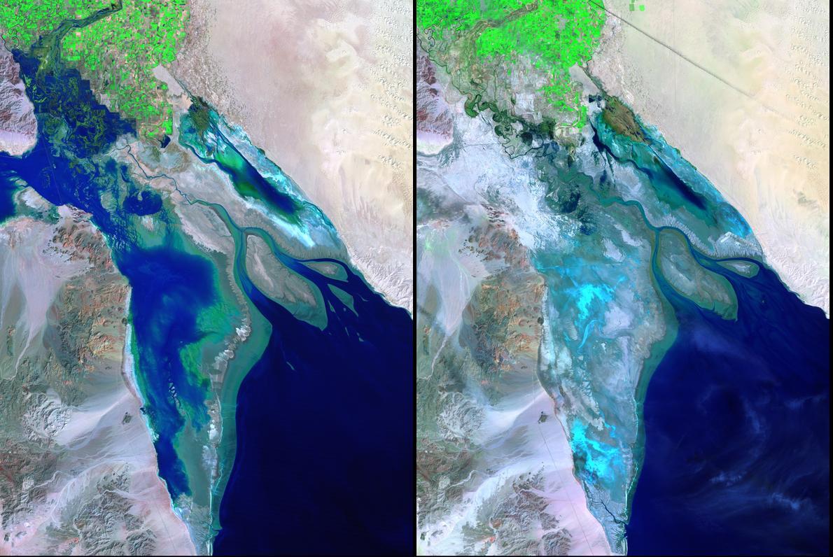 Landsat image of the Colorado River changes resulting from excessive rain and drought in the Colorado River Basin.