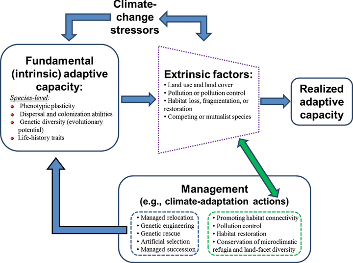 heuristic conceptualization of adaptive capacity