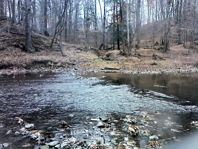 Black River at Elyria, OH - control