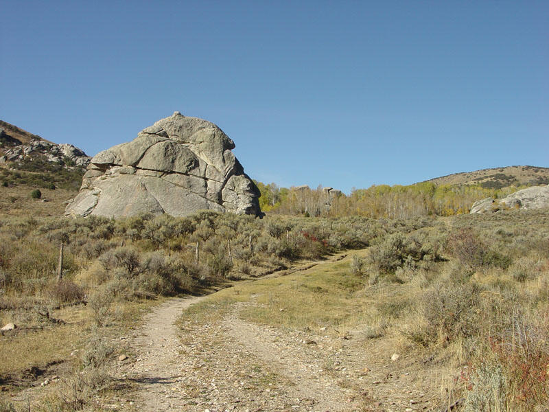 Nematode Rock