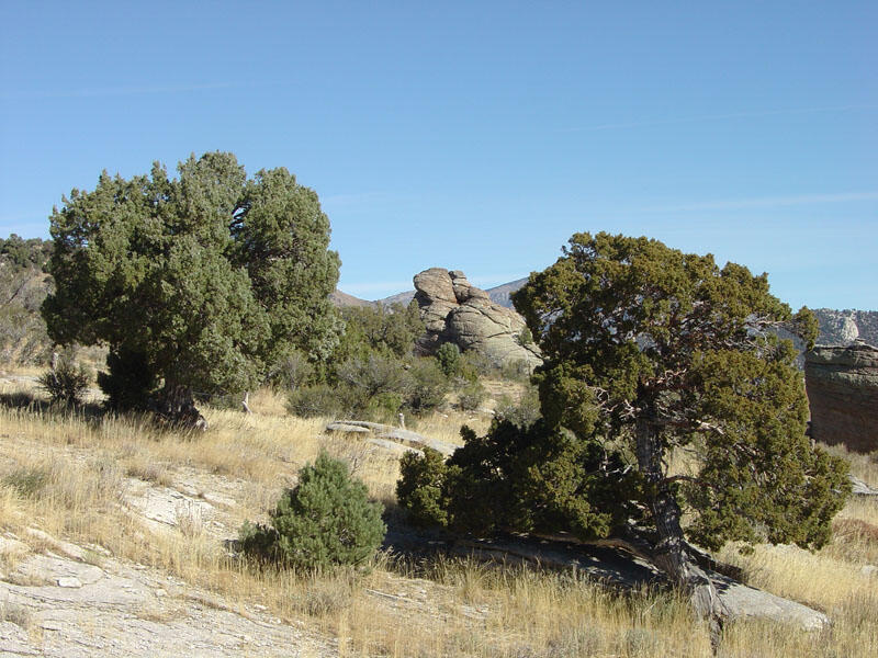 View from Private Idaho