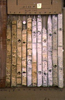 Box containing multiple soil core samples from Galloway Site