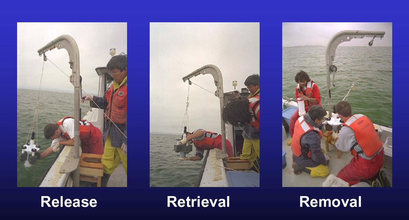 Collecting sediment cores for benthic flux analysis from San Francisco Bay, California