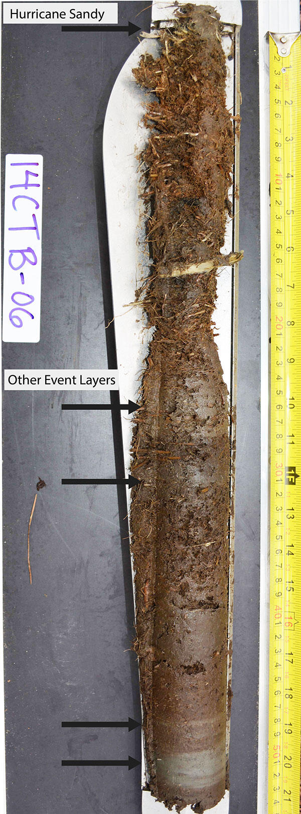 peat auger core collected from the back-barrier marsh of Assateague Island