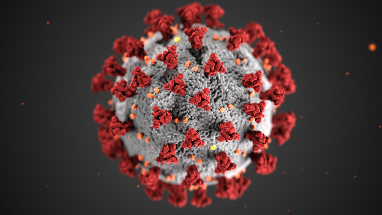 Gray sphere surrounded by red spikes on outer surface of virus.