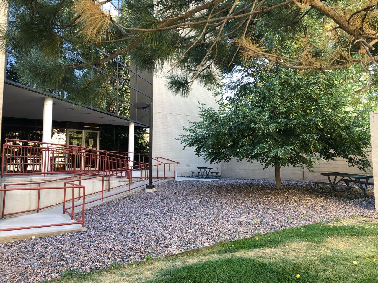 rock courtyard with trees next to building
