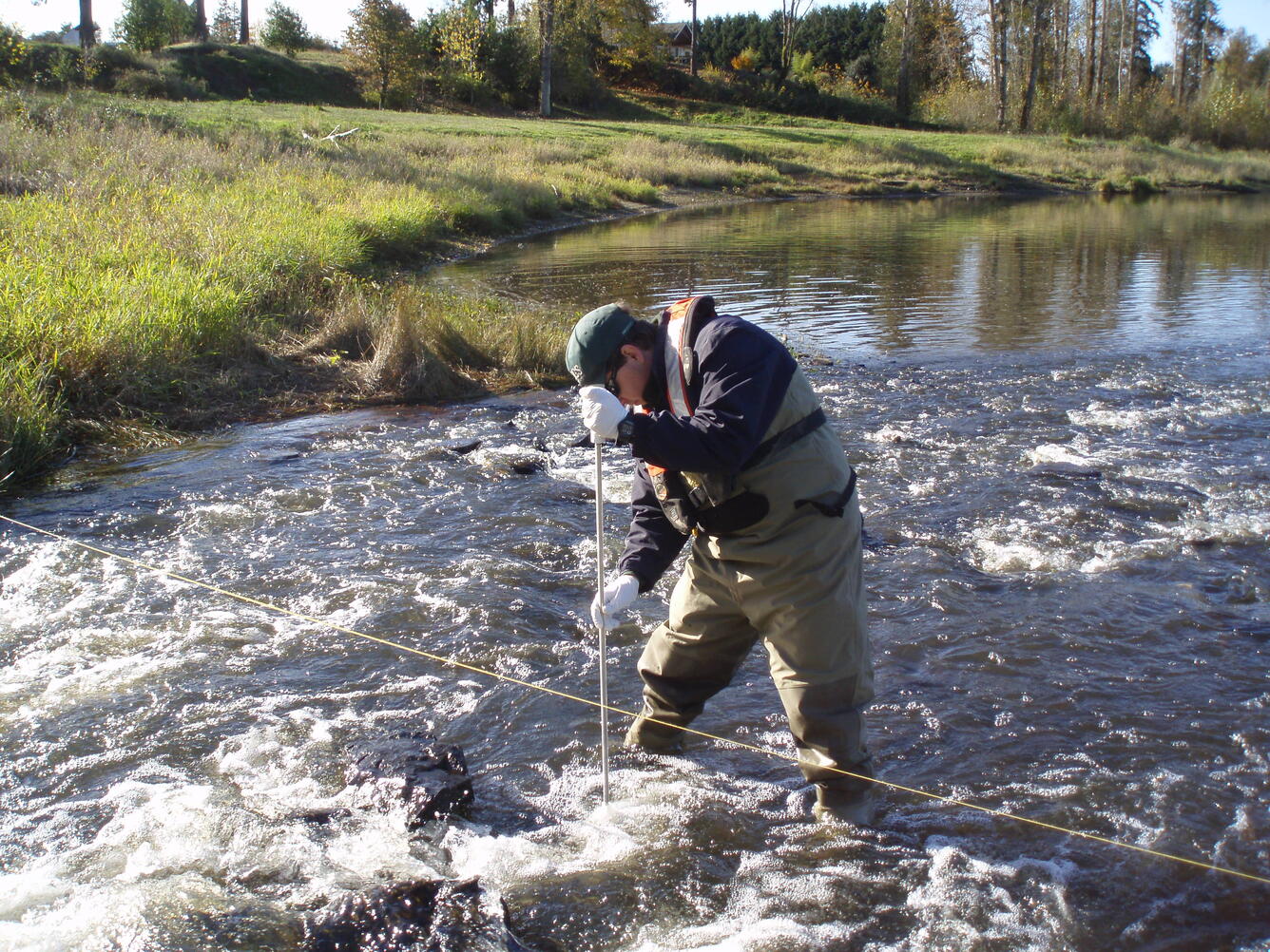 Sampling surface water at Burnt Bridge Creek as it enters Vancouver Lake
