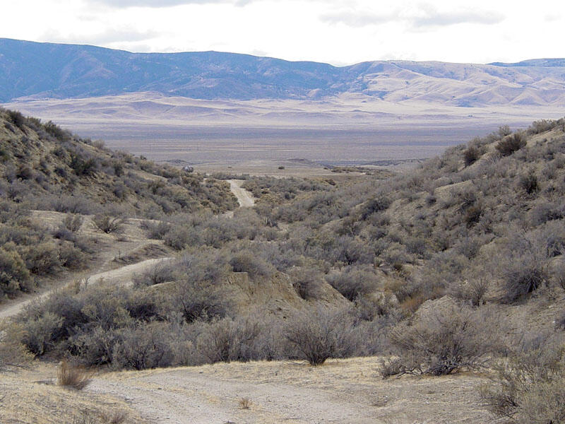 A photo of a stream