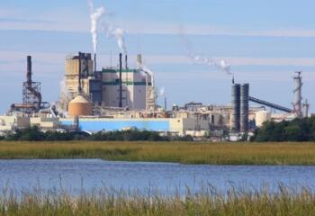 Cellulose plant, Brunswick, Georgia