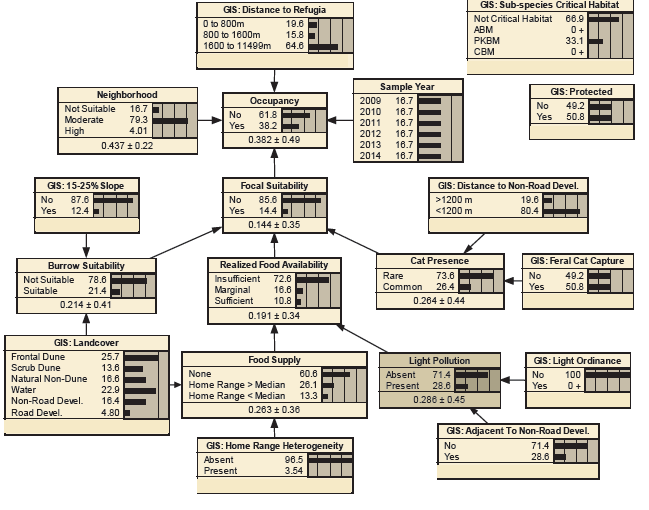 Network model for beach mice