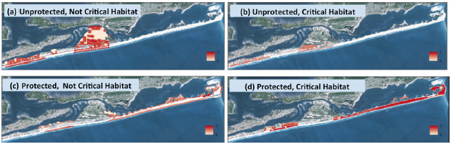 Predicted probability of occupancy by beach mice