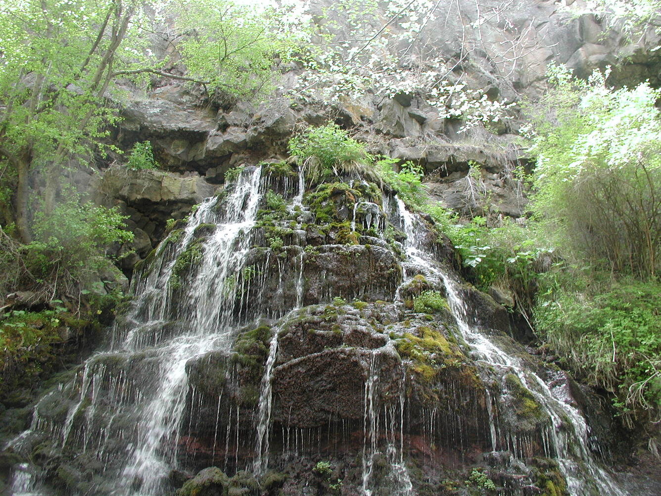 Crooked Canyon spring