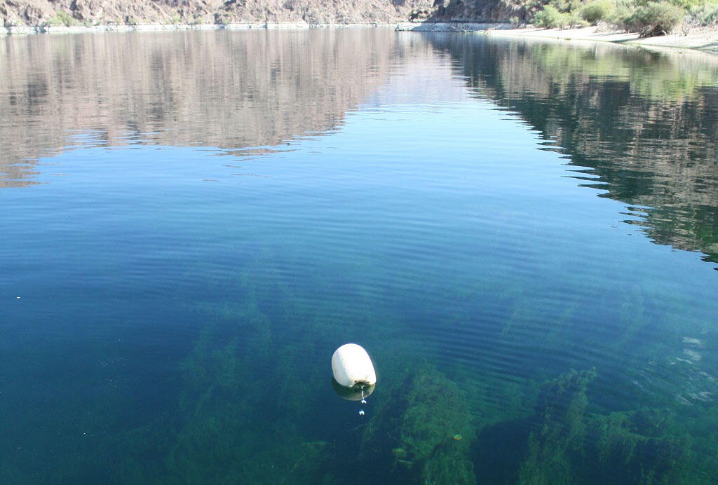 Passive samplers deployed at Willow Beach on the Colorado River, Arizona