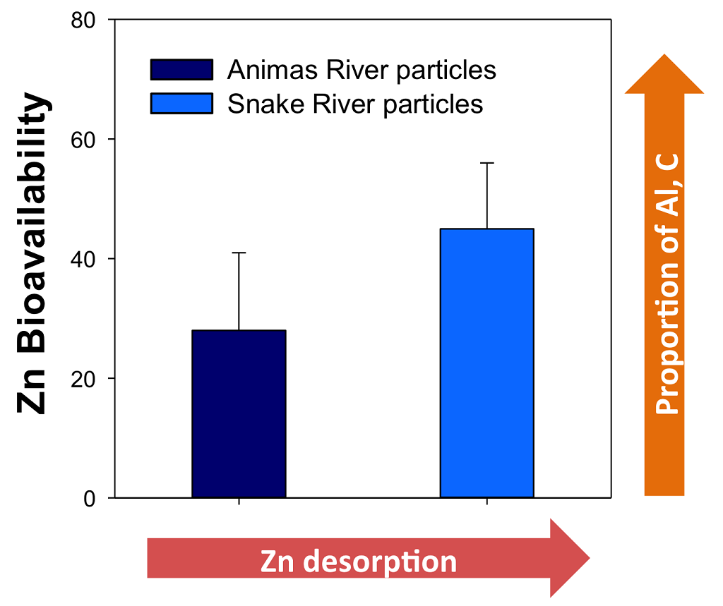 Graph showing the difference in the bioavailability of zinc (Zn) from particles collected in two mine drainage impacted rivers