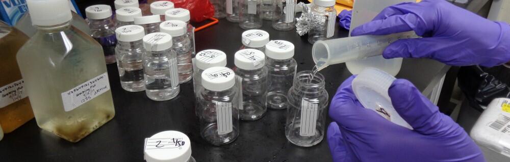 A U.S. Geological Survey (USGS) microbiologist prepares a water sample for enterococci testing