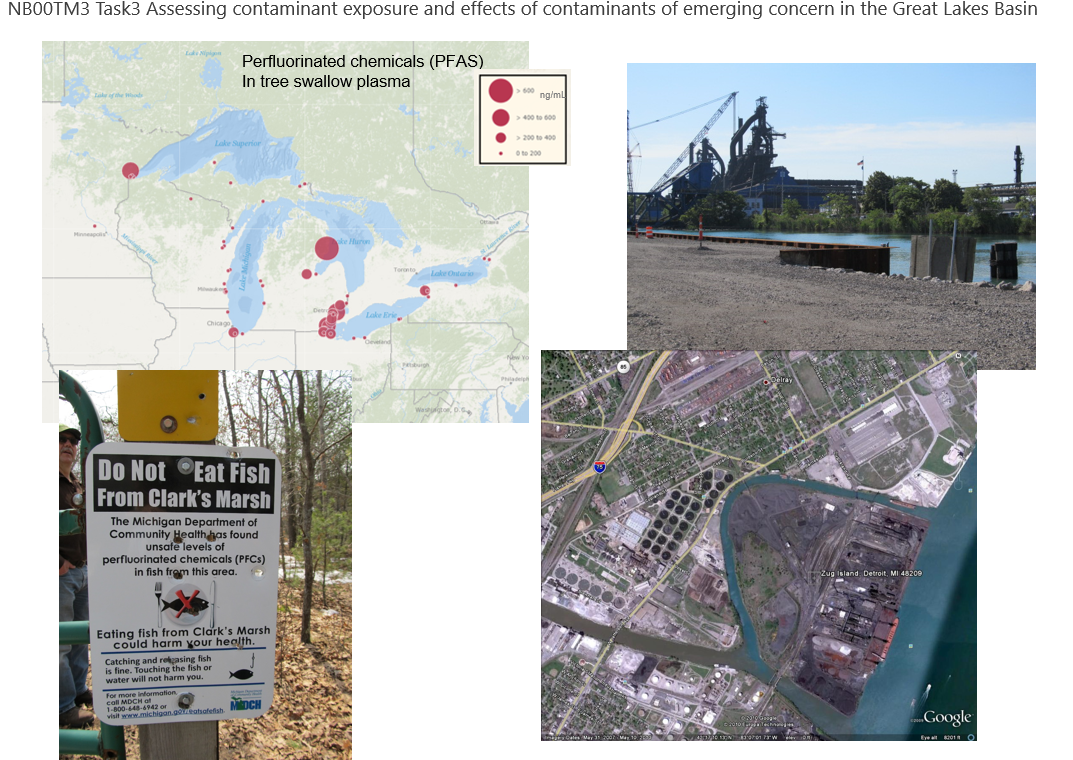 Assessing contaminant exposure and effects of contaminants of emerging concern in the Great Lakes Basin