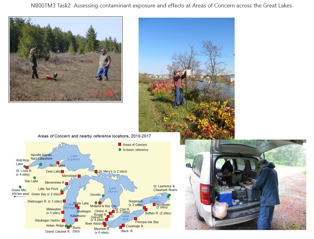 Assessing contaminant exposure and effects at Areas of Concern across the Great Lakes