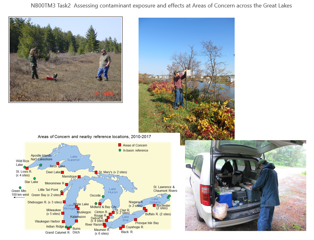 Assessing contaminant exposure and effects at Areas of Concern across the Great Lakes 