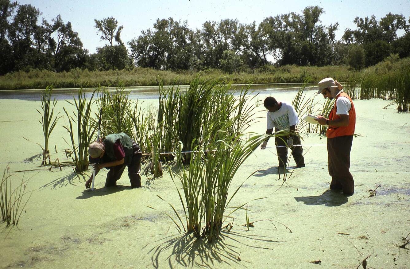 USGS scientists collecting water-quality samples