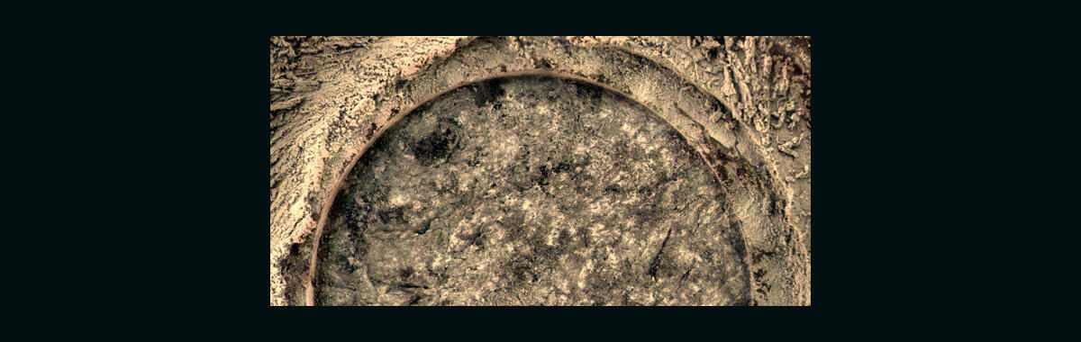A Pancam / Microscopic Imager merged image