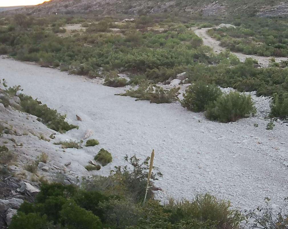 DARK CANYON DRAW NEAR WHITES CITY, NM (08405105) Web Camera
