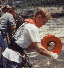 David Brower