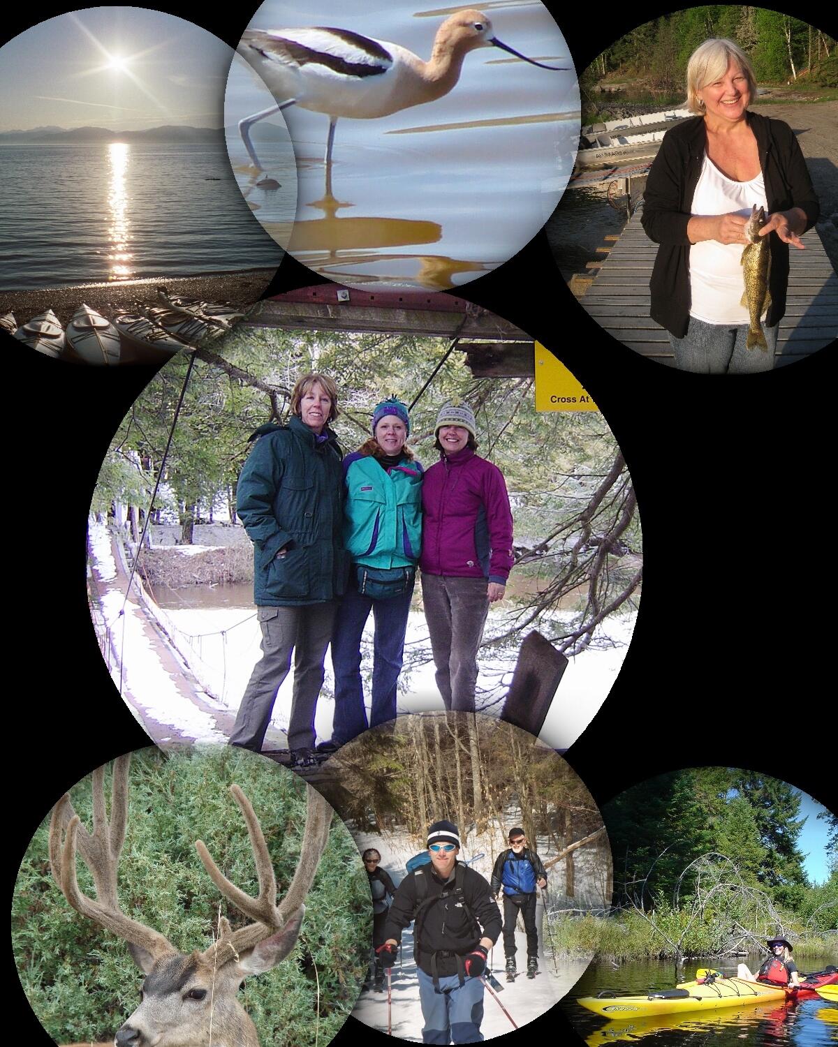 FORT science collage II