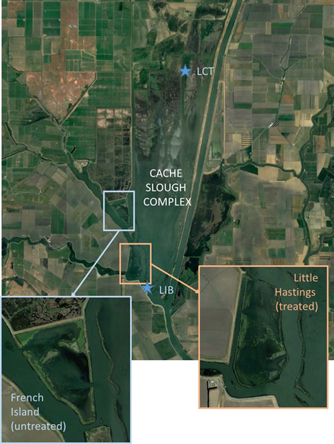 Aerial view of the Delta's Cache Slough Complex illustrating the location of the French Island and Little Hastings study areas