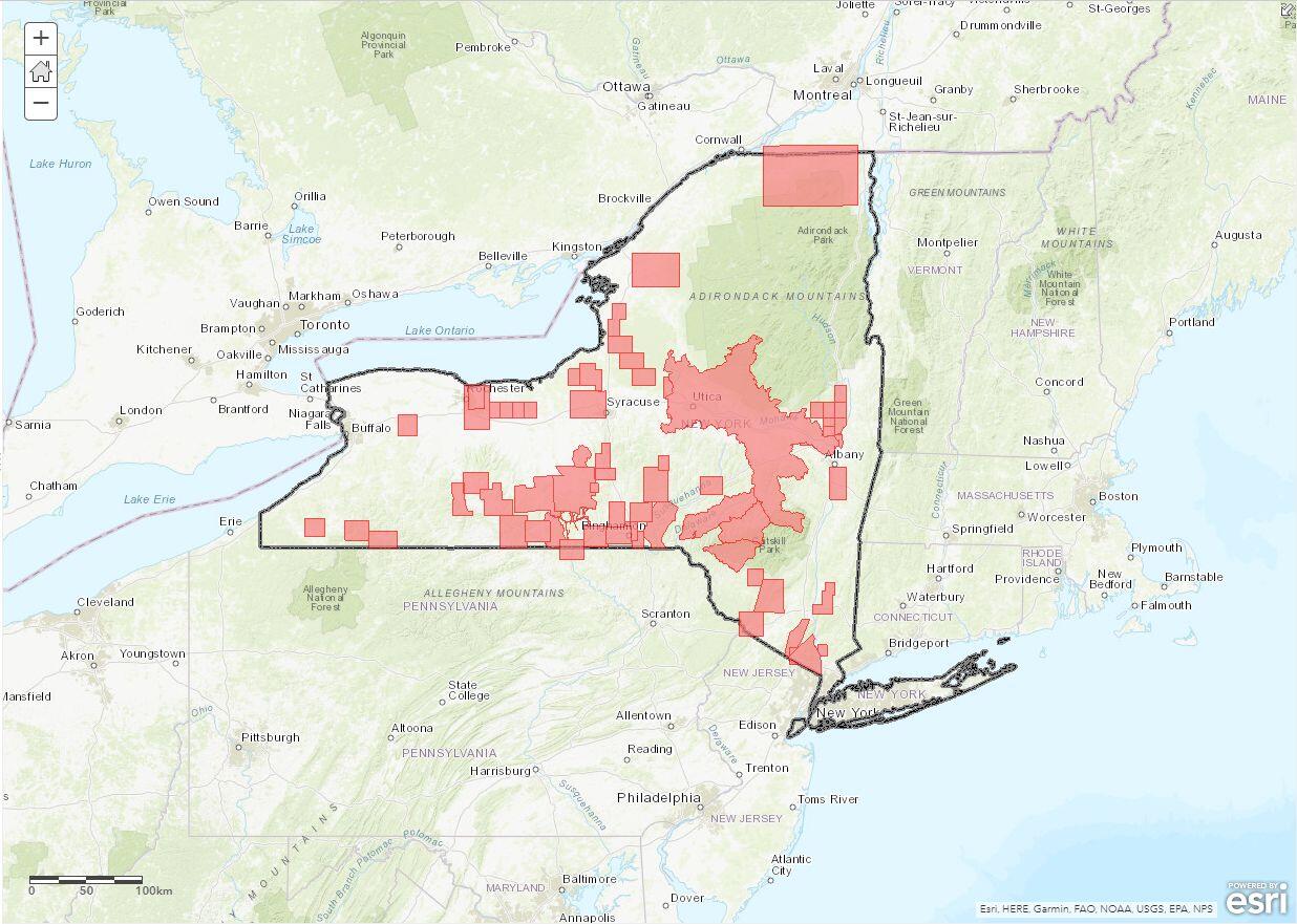 map of New York stat with pink polygons on it