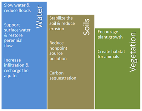 Ecosystem Services of rock detention structures.