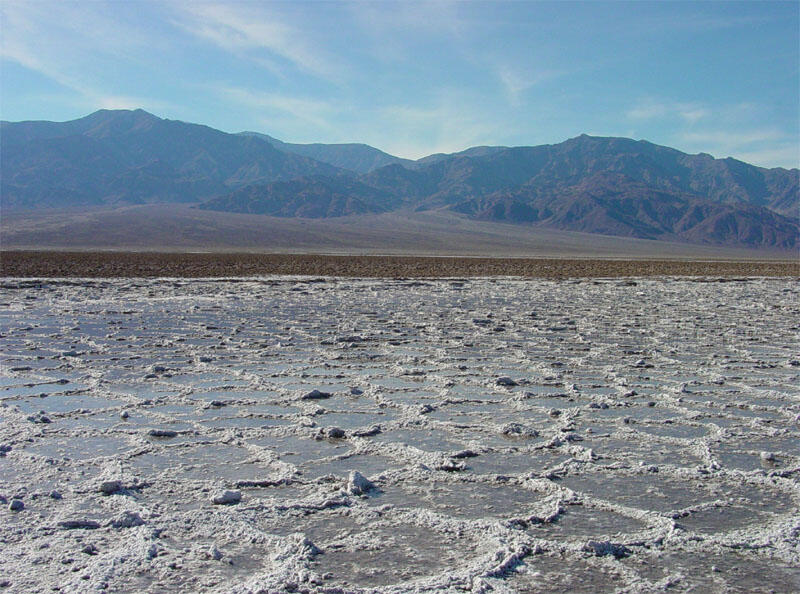 Salt Polygons	