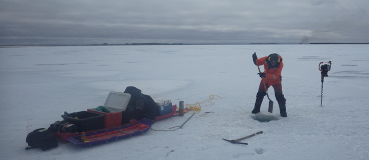 U.S. Geological Survey scientist digging a pit in Alaska