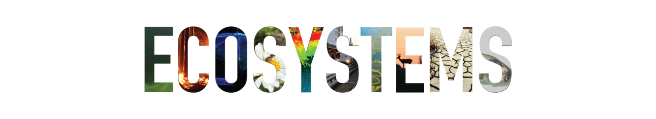 Discover Ecosystems web banner.