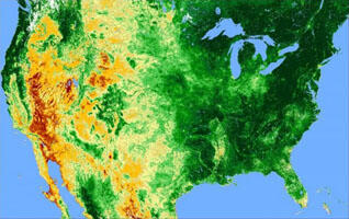 AVHRR Normalized Difference Vegetation Index (NDVI) Composites 