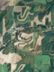 National Agriculture Imagery Program (NAIP) Thumbnail