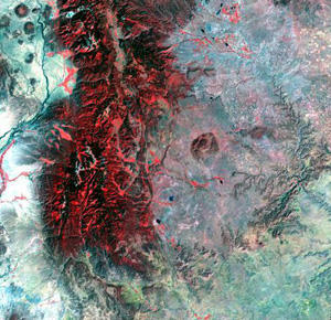 Tri-Decadal Global Landsat Orthorectified 