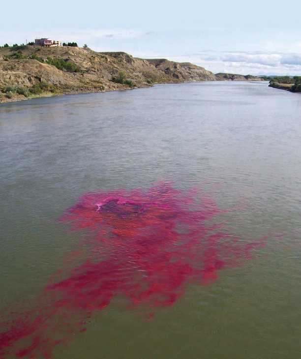 rhodamine-WT dye in Yellowstone River