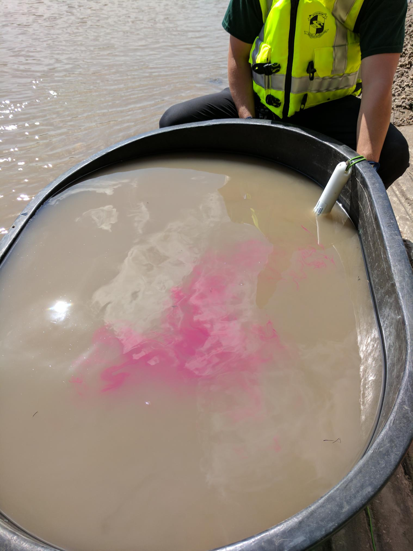 Rhomdamine-WT dye in plastic 