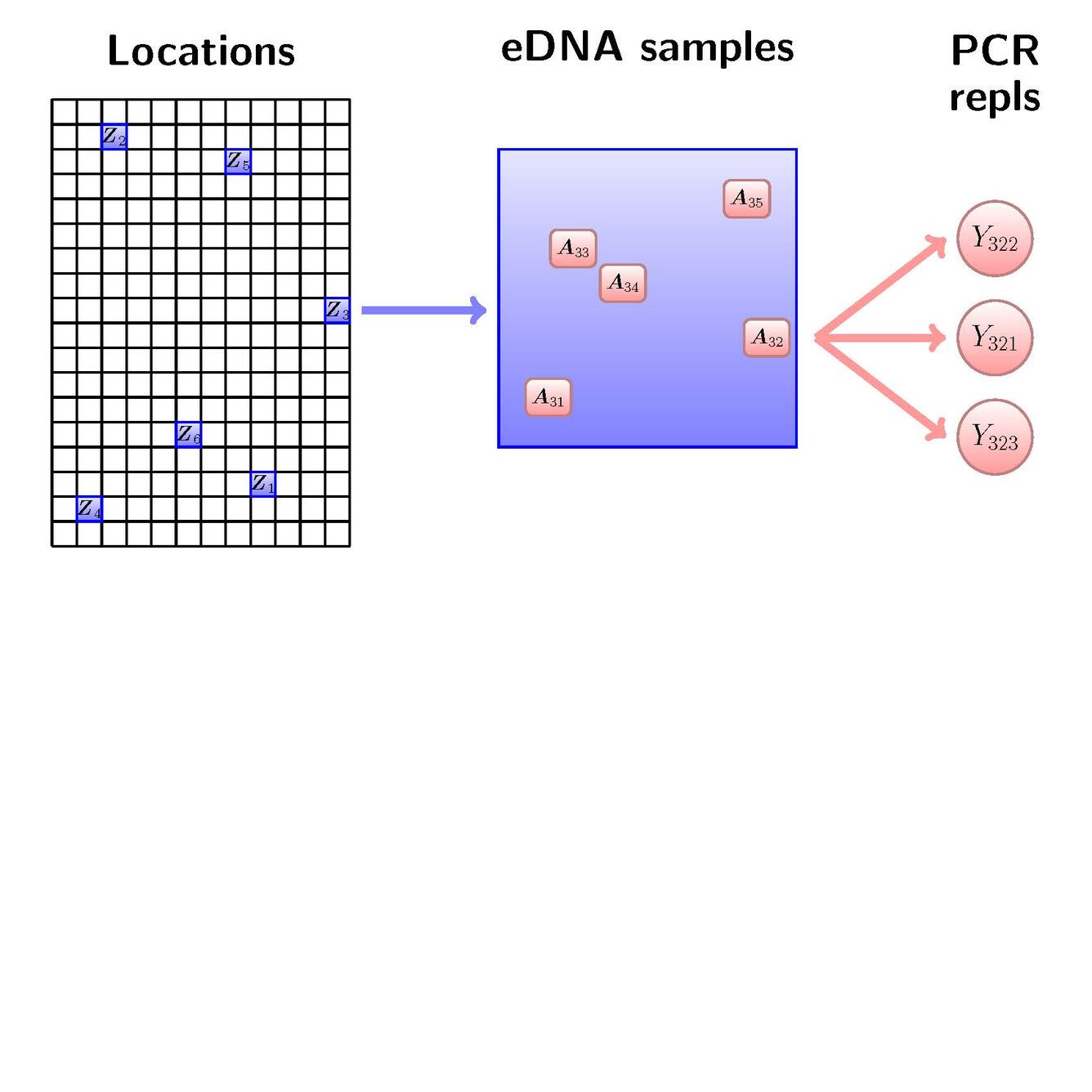 Locations, eDNA samples, PCR repls