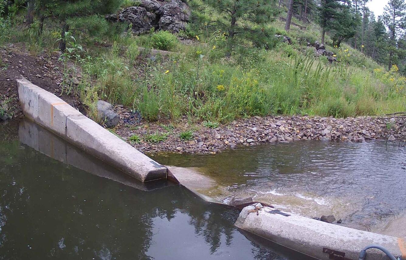 EAGLE CREEK BELOW SOUTH FORK NEAR ALTO, NM (08387600) Web Camera