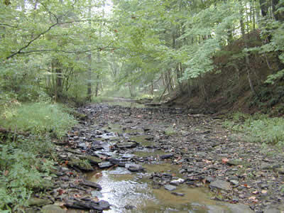 ecosystem services