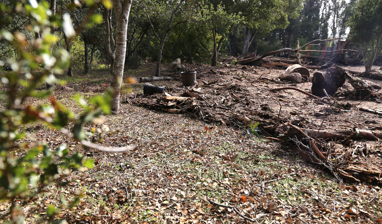 edge of debris flow