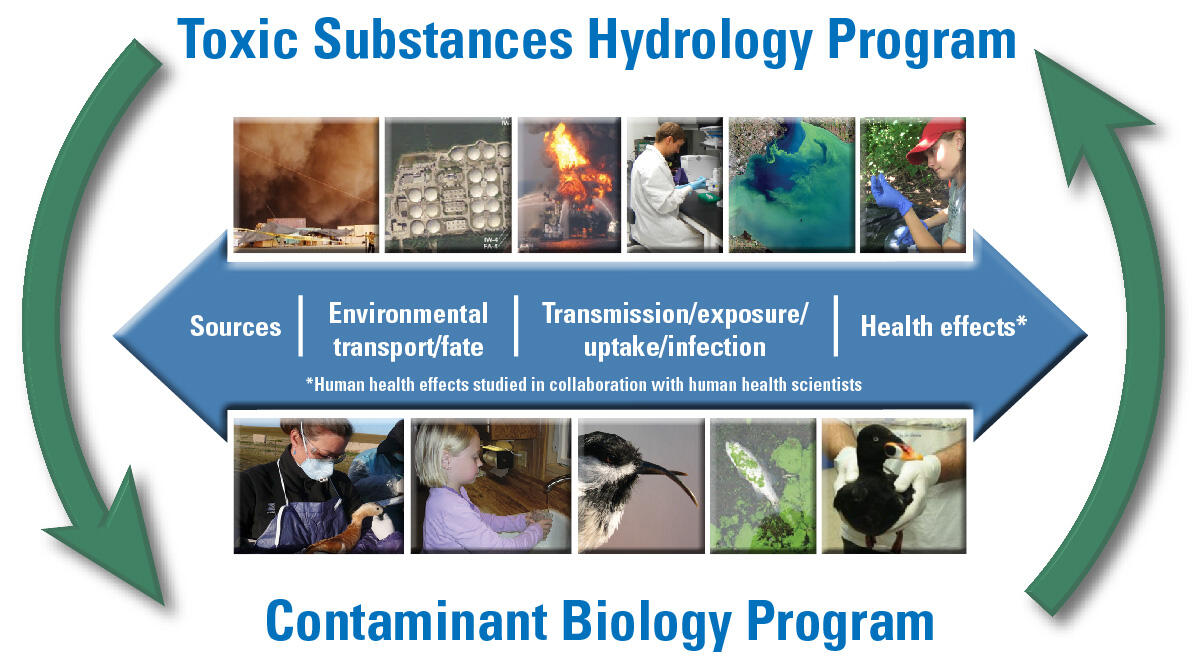 USGS Science to Understand Contaminants and Pathogens in the Environment