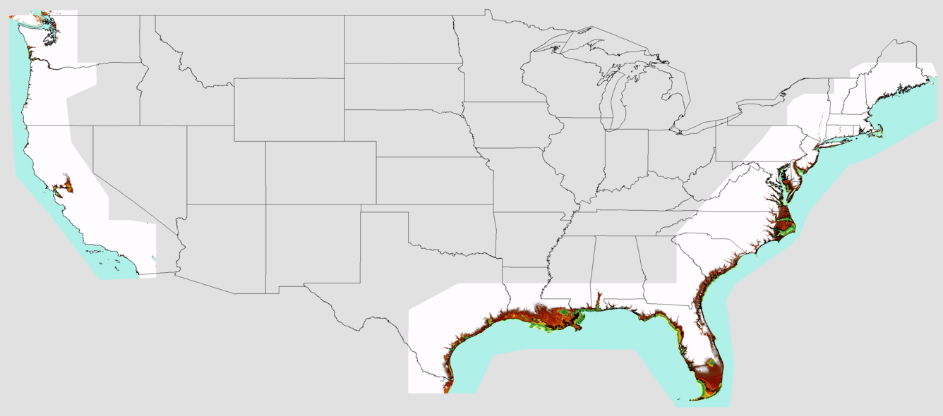 overview image of elevation model