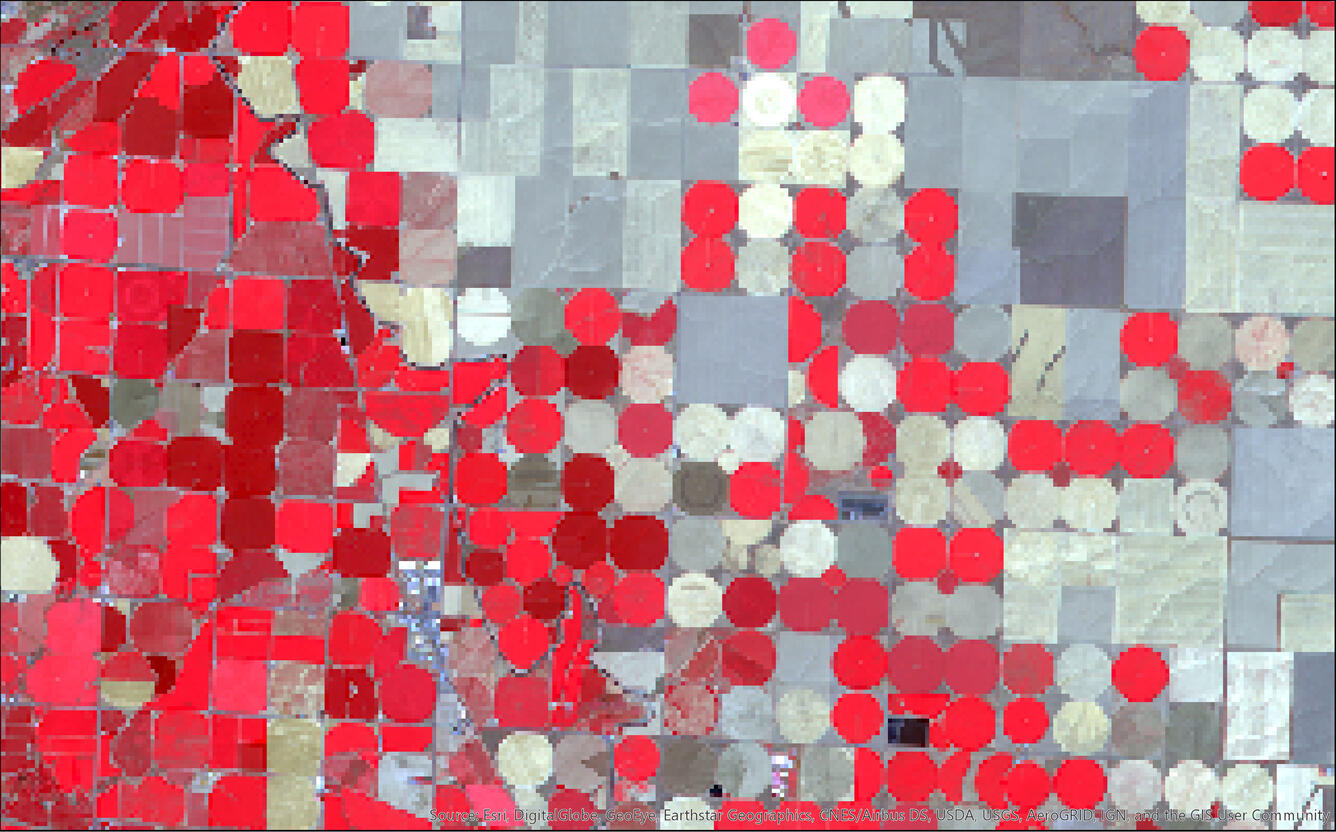 False color Landsat 8 image of center pivot irrigated crops in Washington state