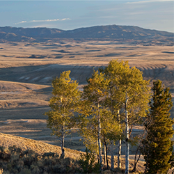 Federal Emissions Map Viewer Thumb