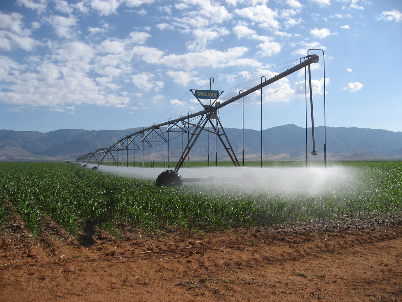 Long view of central-pivot irrigation